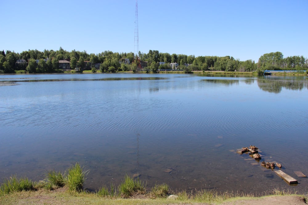 Tony Knowles Coastal Trail 86 - O