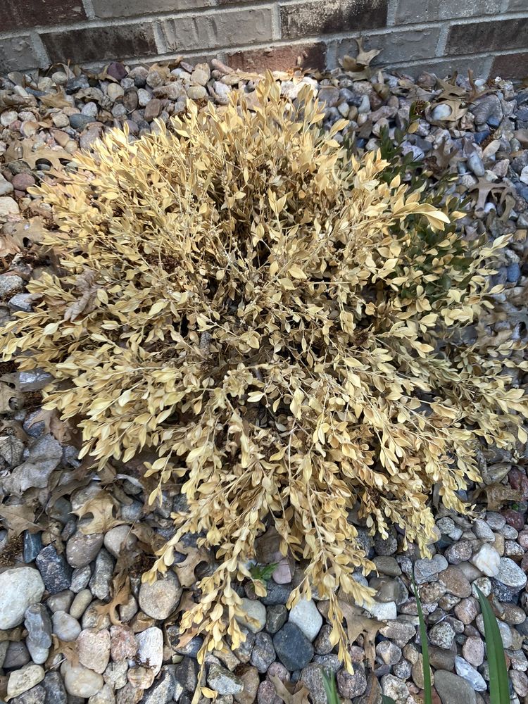 Lincoln Landscaping