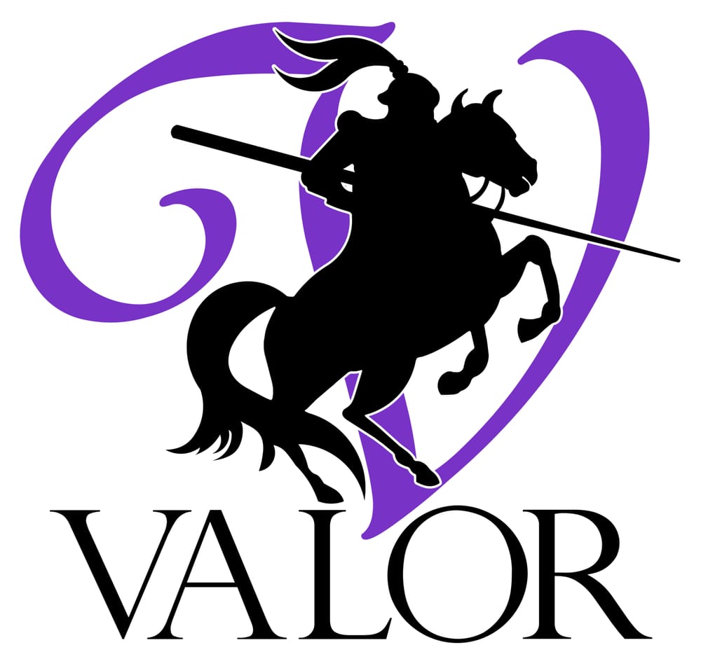 Valor Mold Removal