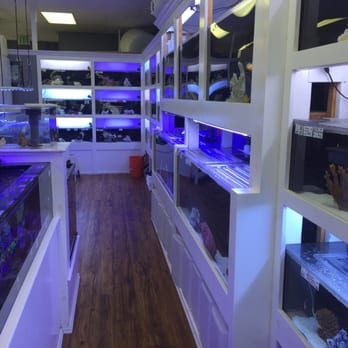 Aquatic Fantasy 48 Photos 40 Reviews Local Fish S 541 N Photo Of Aquatic Fantasy Redondo Beach Ca United States We Love The