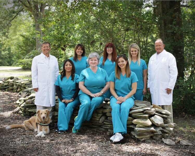 image of business Care Plus Dental Associates
