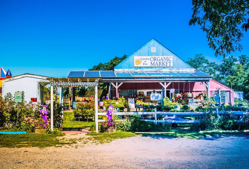 Garden of Eve Organic Farm