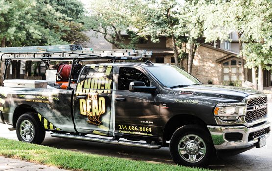 Knock Em Dead