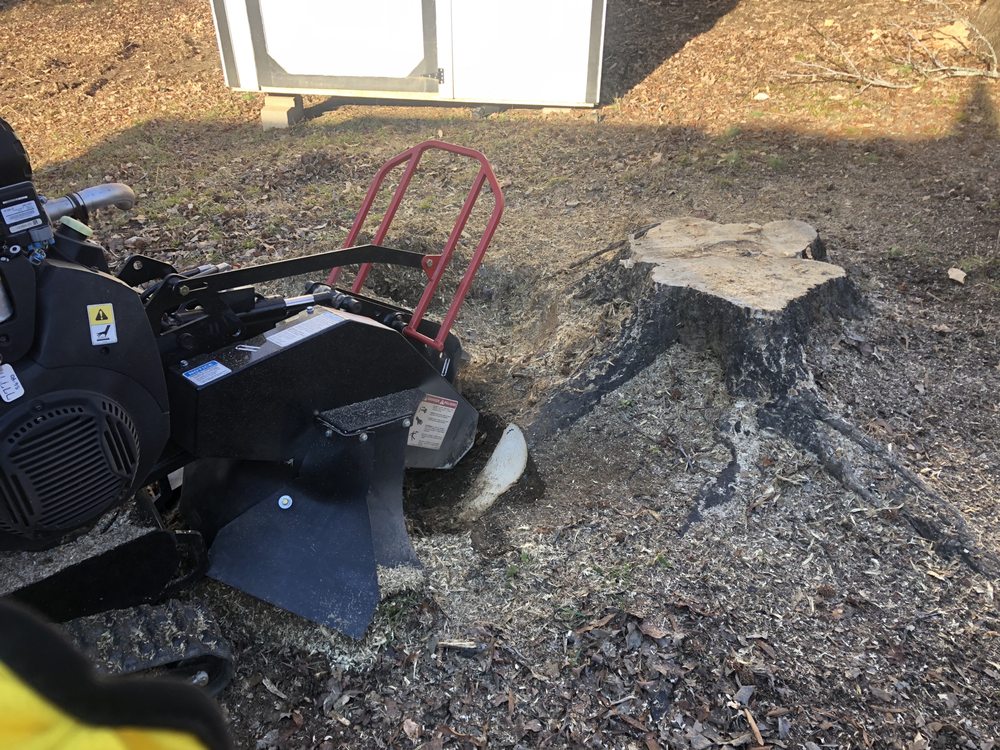 Always Grinding Stump Services