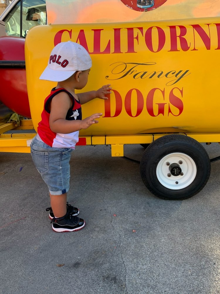 California Fancy Dogs