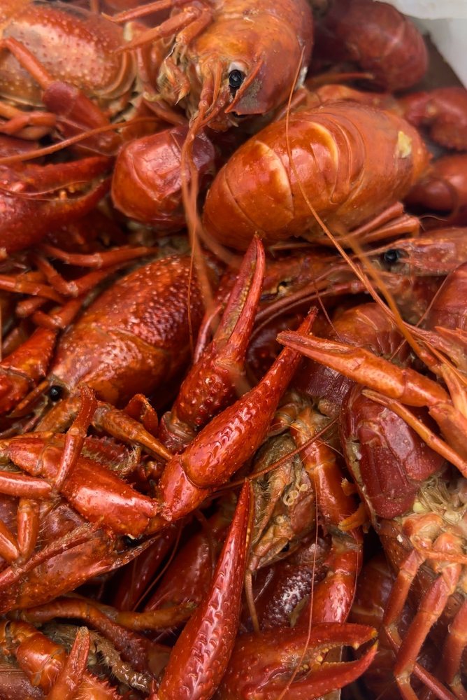 Boil House