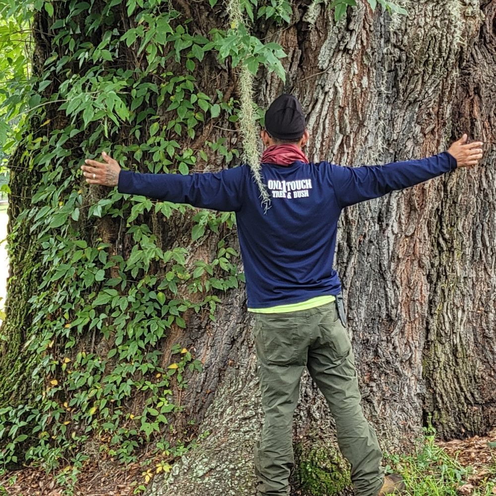 One1touch Tree And Bush Trimming