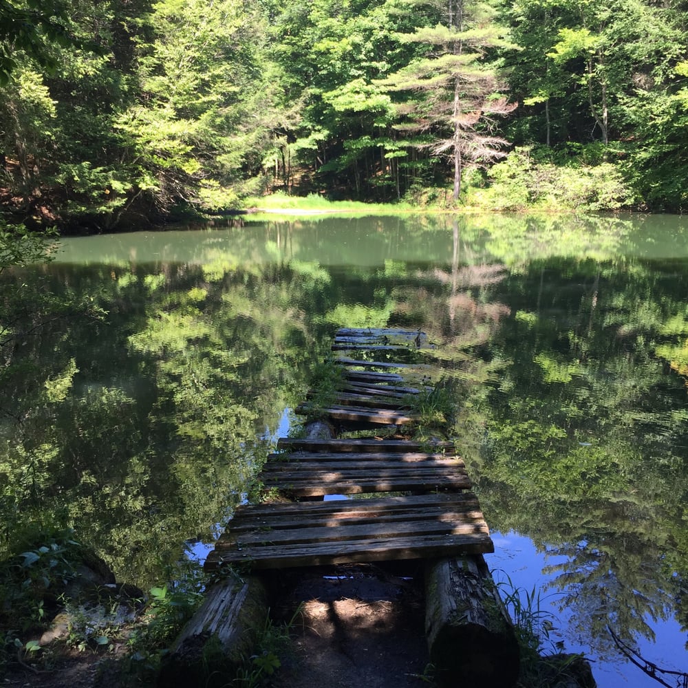 Monk's Pond - a 20 minute hike from Kripalu - Yelp