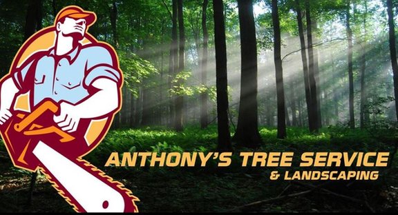 Anthony's Tree Service