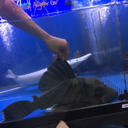 Photos for Monster Aquarium - Yelp