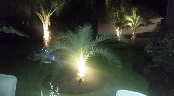 A Cut Above The Rest Landscaping North Myrtle Beach Photo Of A Cut Above The Rest Landscaping North Myrtle Beach Sc United Landscape Lighting Installation