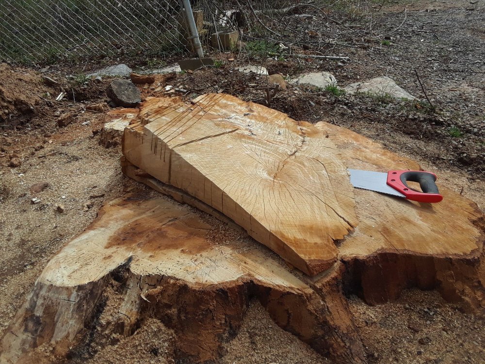 Newcomb Tree Service