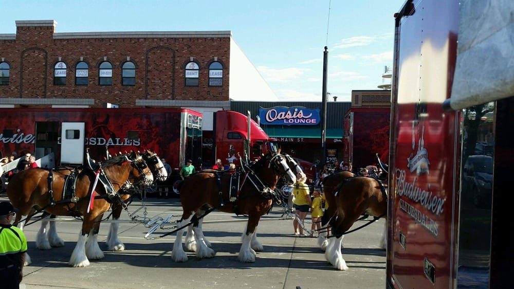 Oasis Lounge Bars 711 Main St, Rapid City, SD Phone Number Yelp