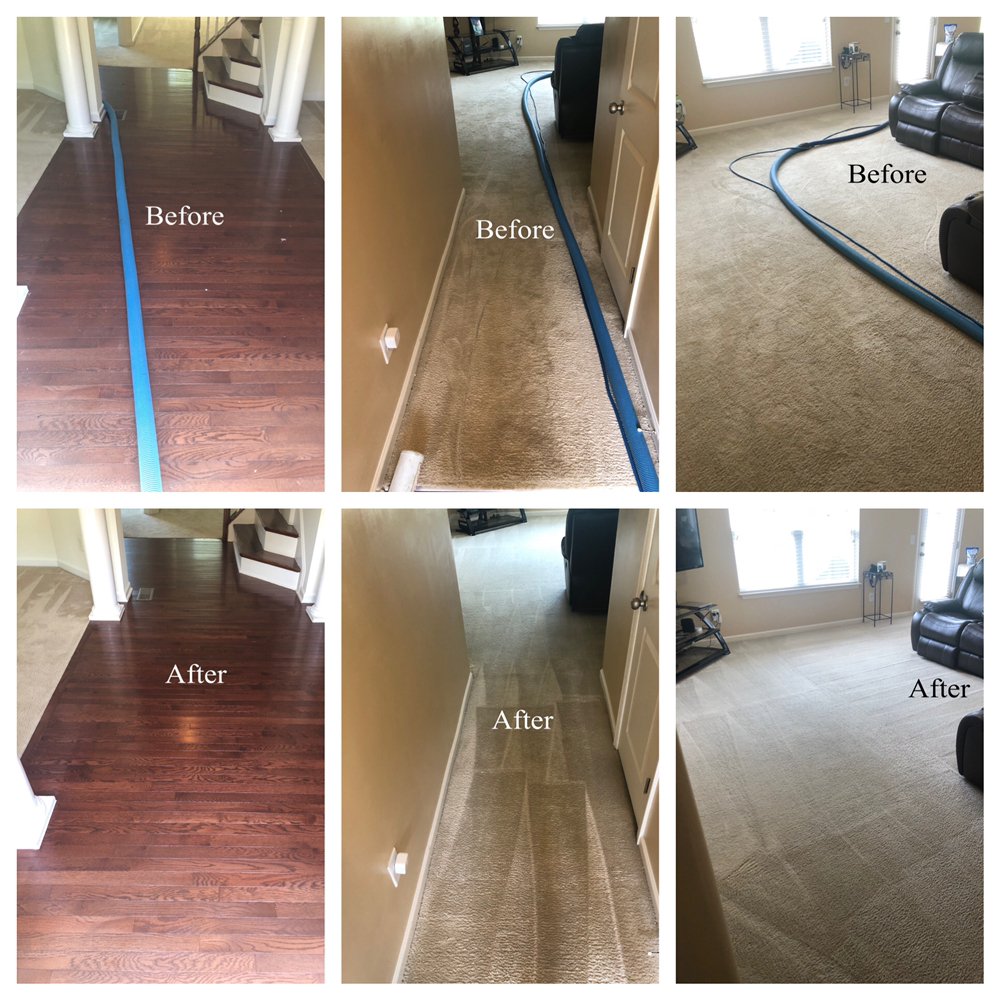 TopNotch Carpet & Upholstery Cleaning