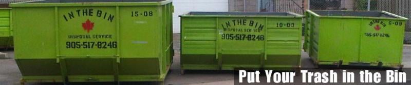 In The Bin Disposal Service