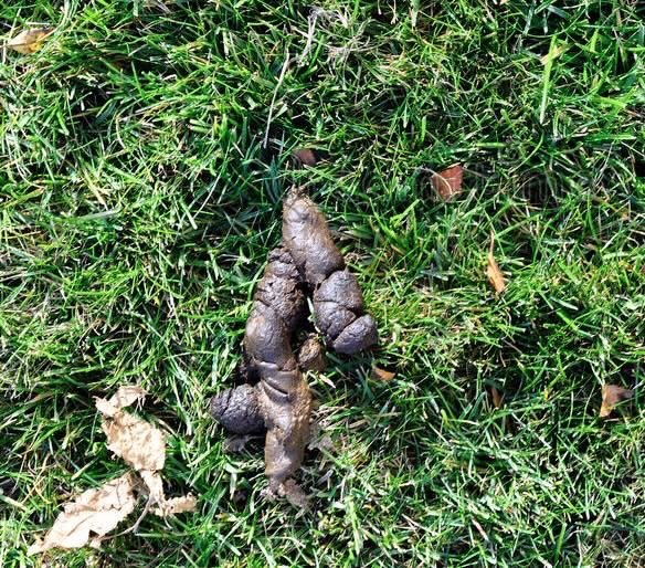 Jay's Landscaping