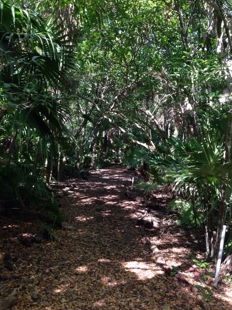 Photos For Key West Tropical Forest Botanical Garden Yelp Key West Tropical Forest And Botanical Garden
