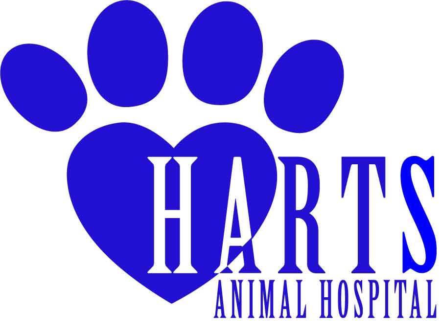 Hart’s Animal Hospital Veterinarians 9528 Akins Rd, North Royalton