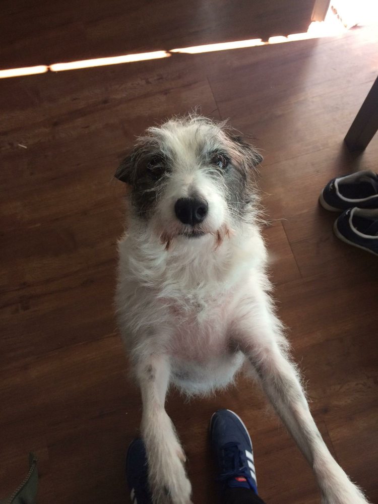 Ronnie's Real Food Bistro