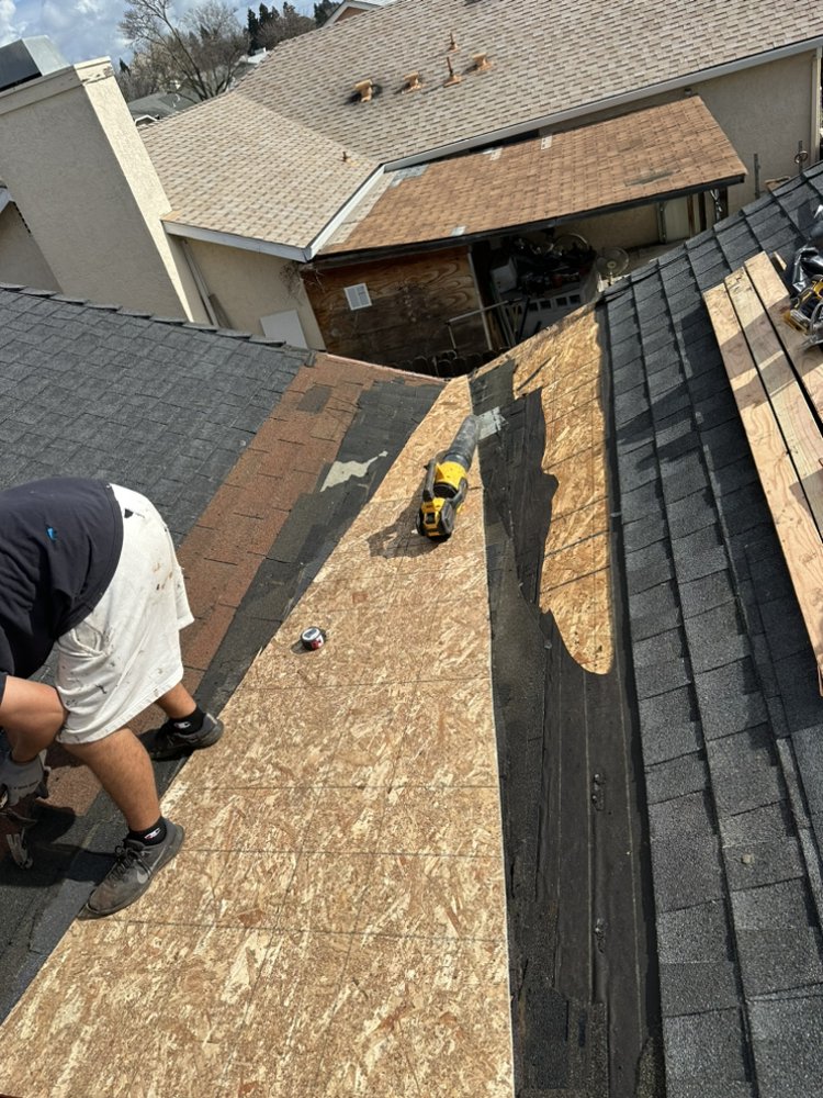 Spring Roofing