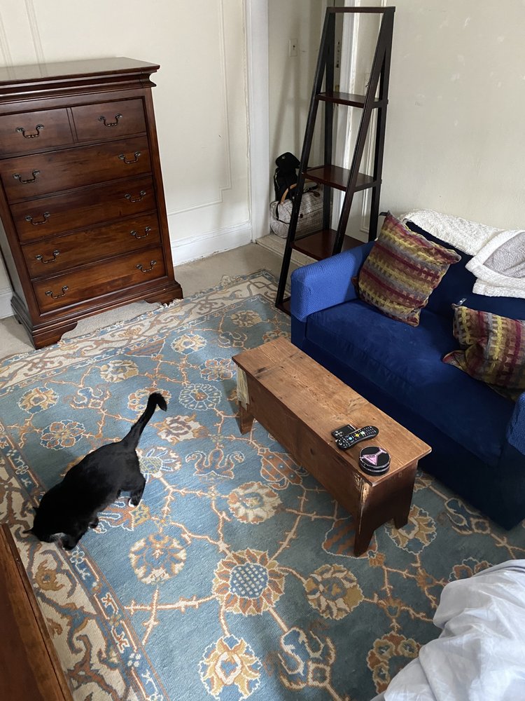 Green Leaf Carpet And Upholstery Cleaning