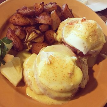 Best Dog Friendly Breakfast Stop A Best Dog Friendly Breakfast Stop A