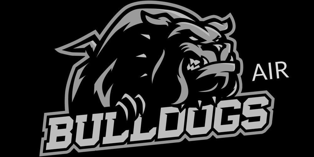 image of business Bulldogs Air