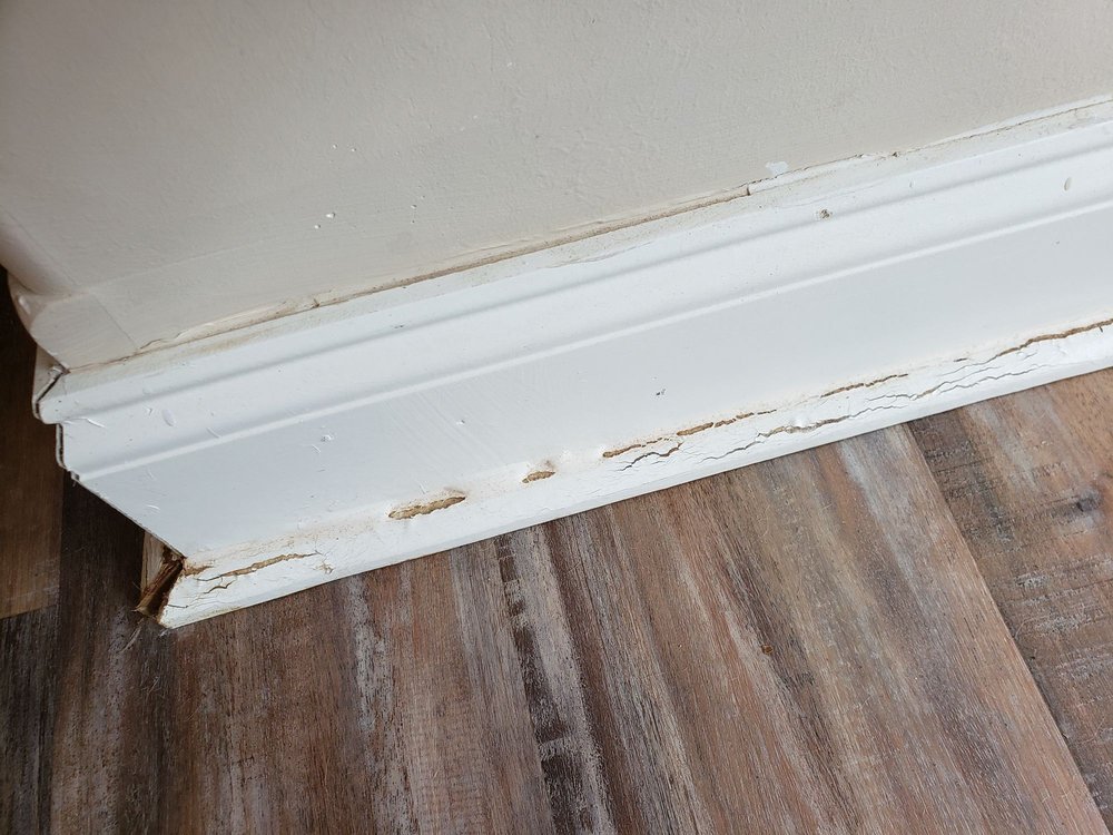 image of business Pratt Homes