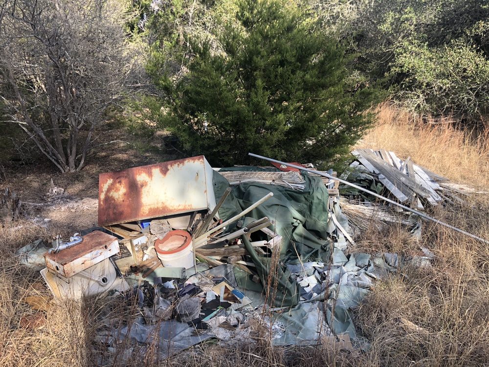 Big Al Junk Removal Services