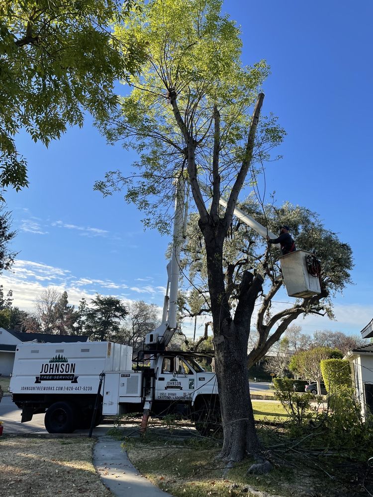 Johnson Tree Service