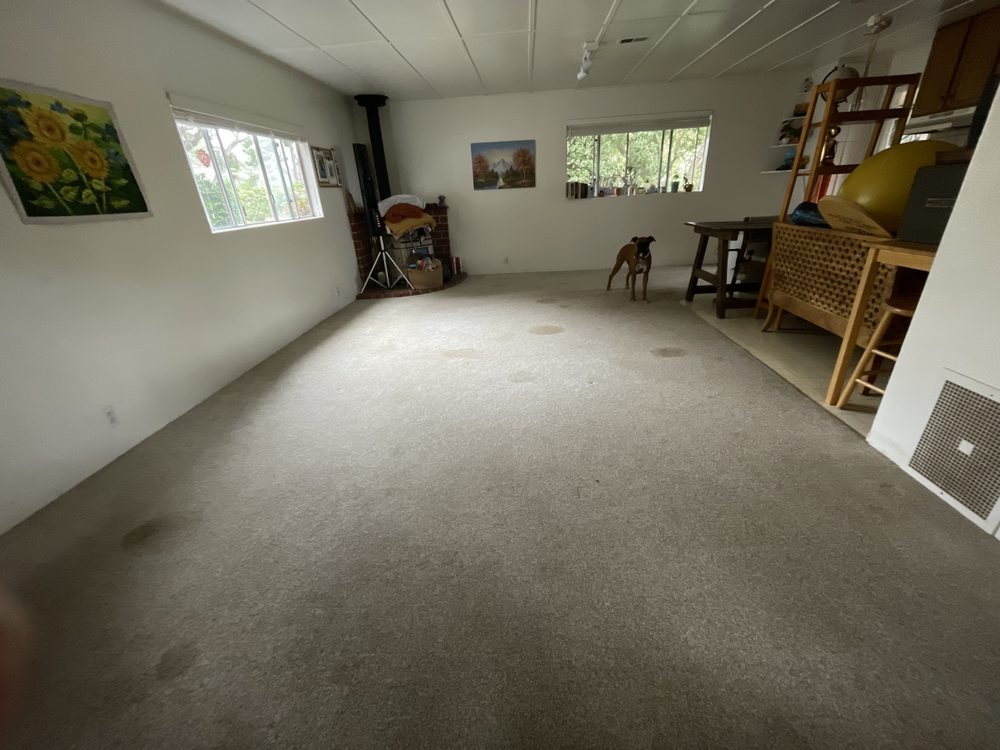 Ferrante's Steam Carpet Cleaning