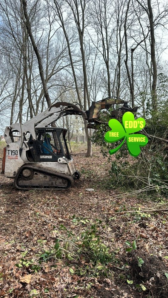 Edd's Tree Services