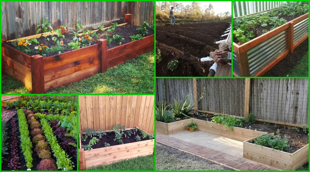 Urban Organics