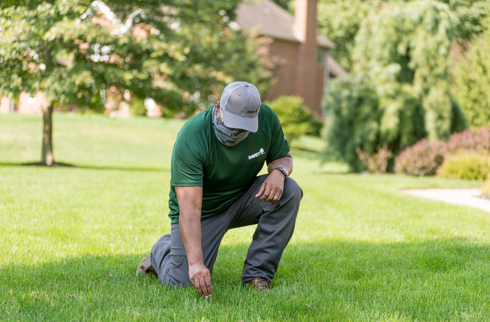 The Davey Tree Expert Company