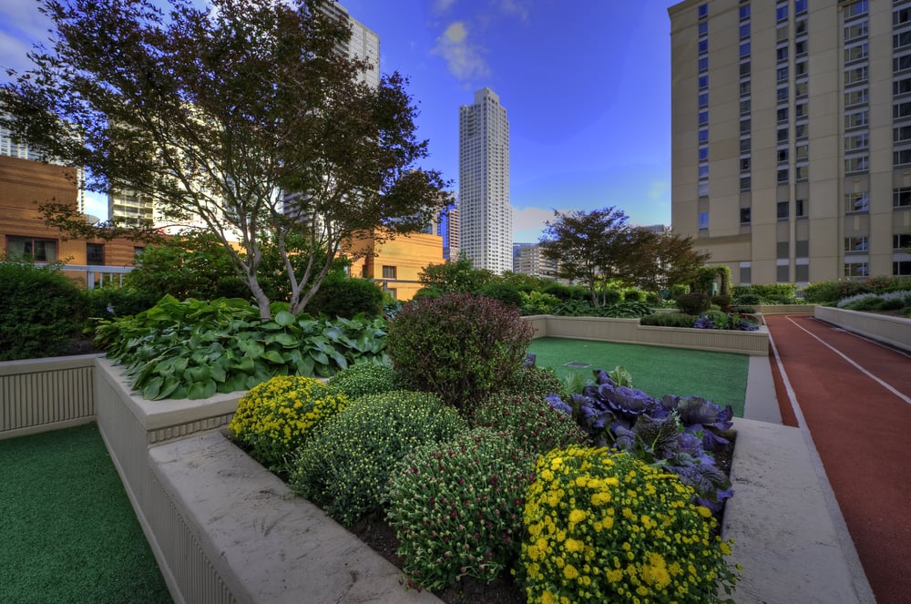 Grand Plaza 540 N State St, Near North Side, Chicago, IL 2019 All