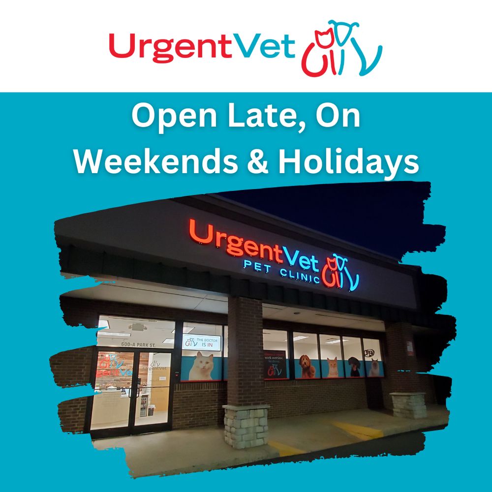 UrgentVet