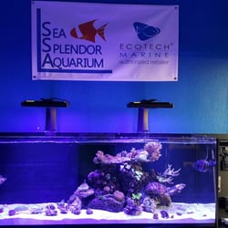 sea splendor aquarium 13