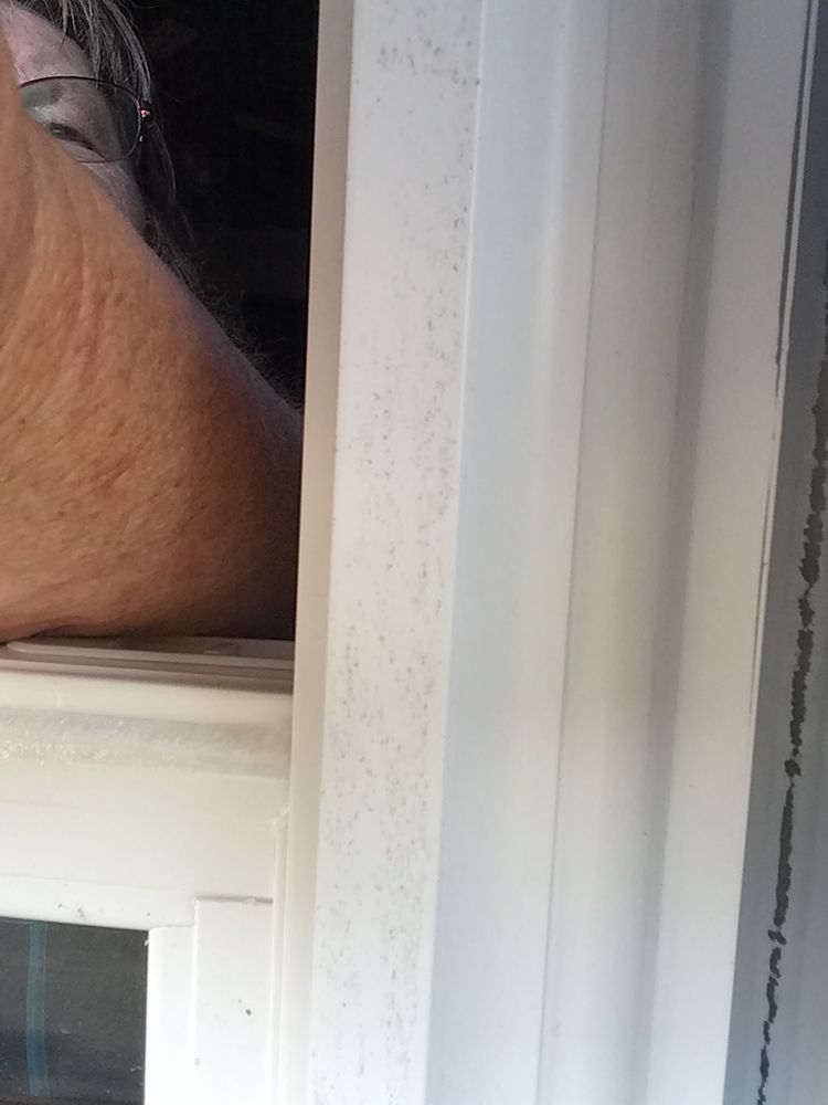 image of business Clearview Window & Door Company