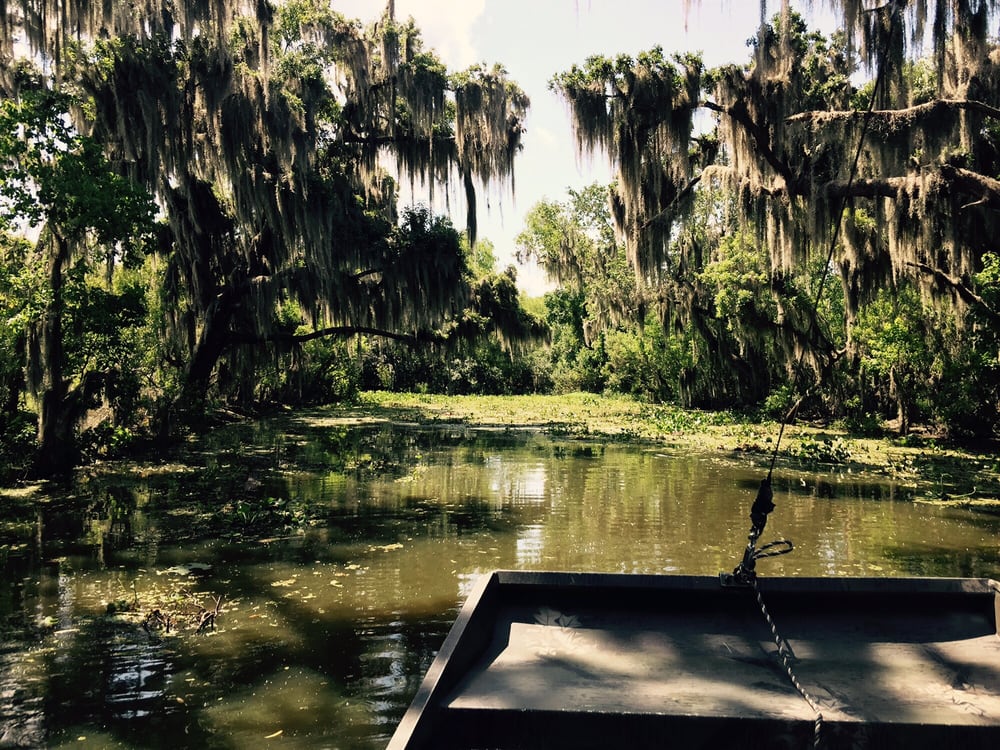 airboat tours by arthur matherne photos for airboat tours by arthur matherne yelp airboat tours by arthur matherne photos for airboat tours by arthur matherne yelp