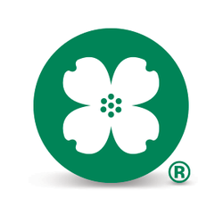 Central Bank - Banks 