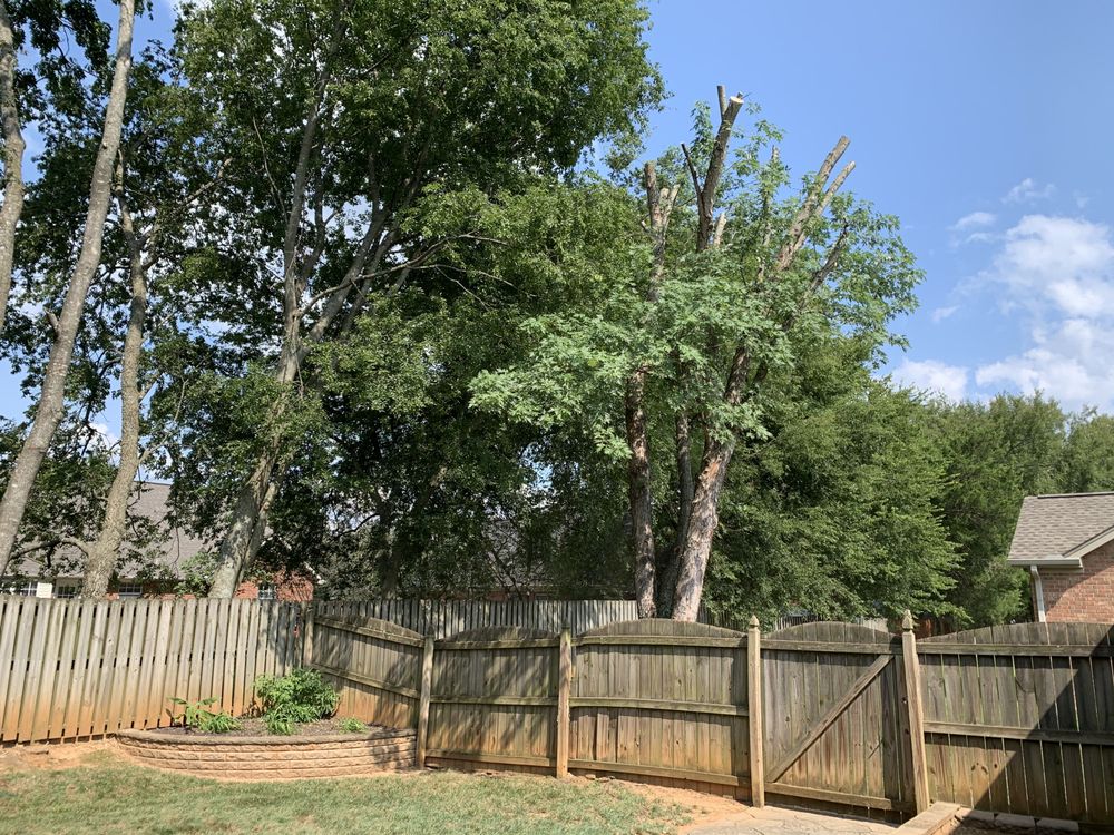 JB Tree Service