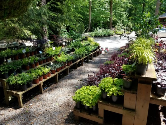 Twin Branch Nursery Landscape 1169 W Wylie Bridge Rd Woodstock Ga Reviews