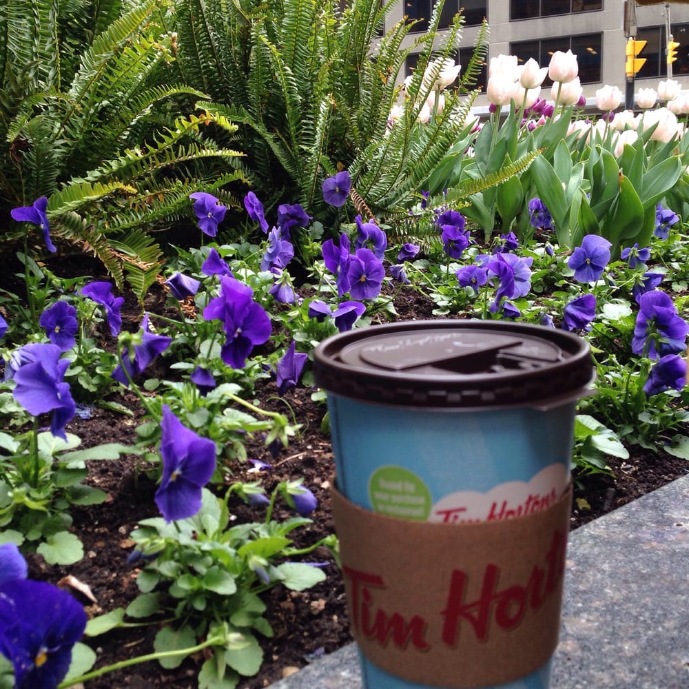 Tim Horton's