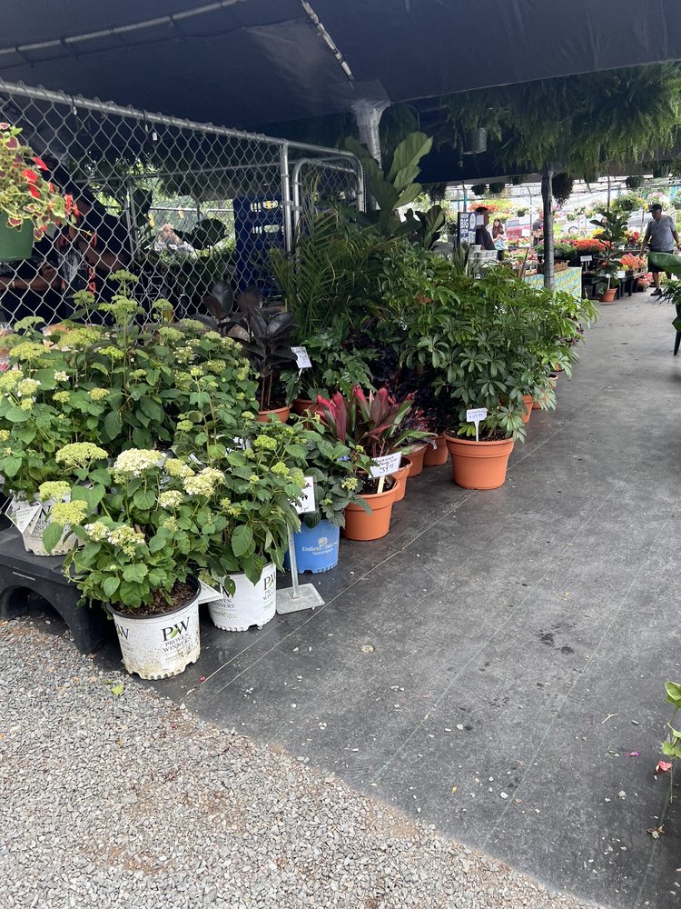 Kings Drive Farmers Market