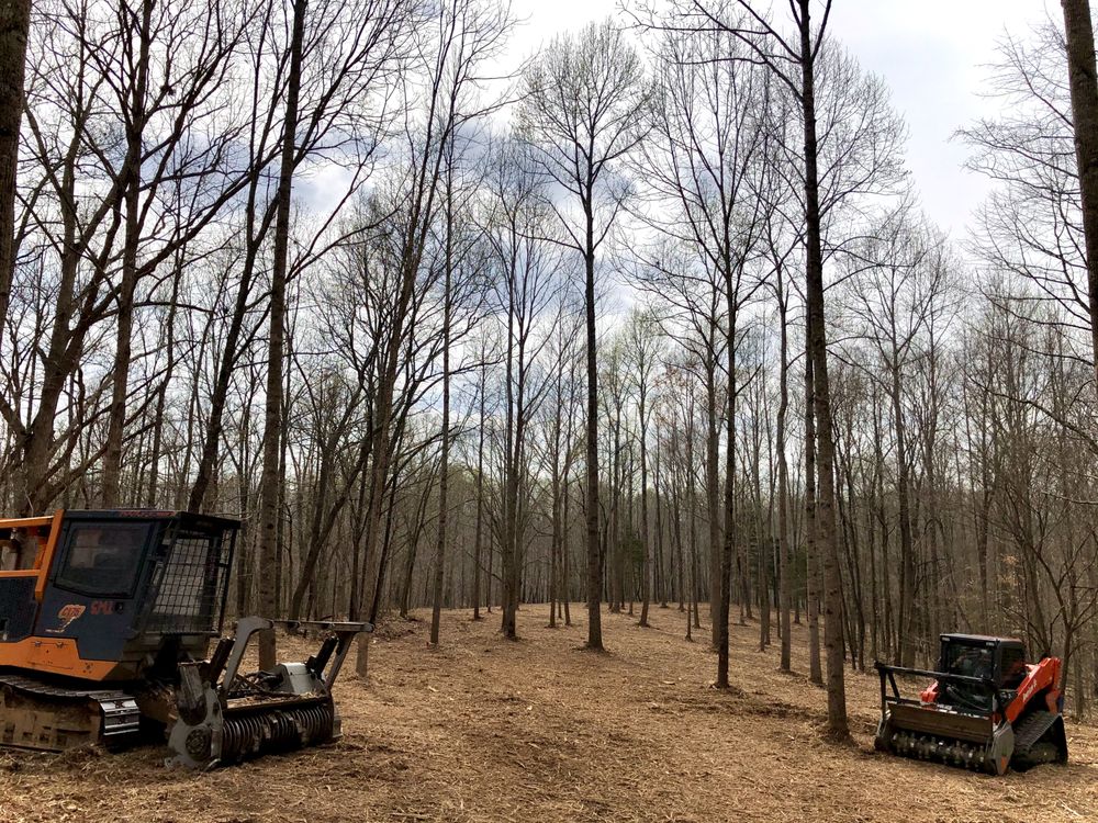 American Excavation & Land Clearing