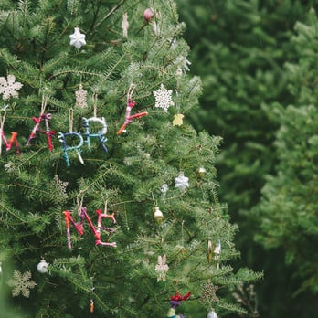 summit christmas tree farm 26 photos 32 reviews summit christmas tree farm 26 photos 32 reviews