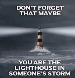 image of business Lighthouse Roofing & Gutters