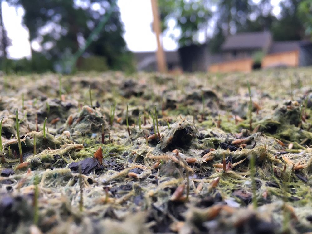 NW Bulldozing & Hydroseeding