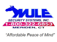 Mule Security Systems Inc