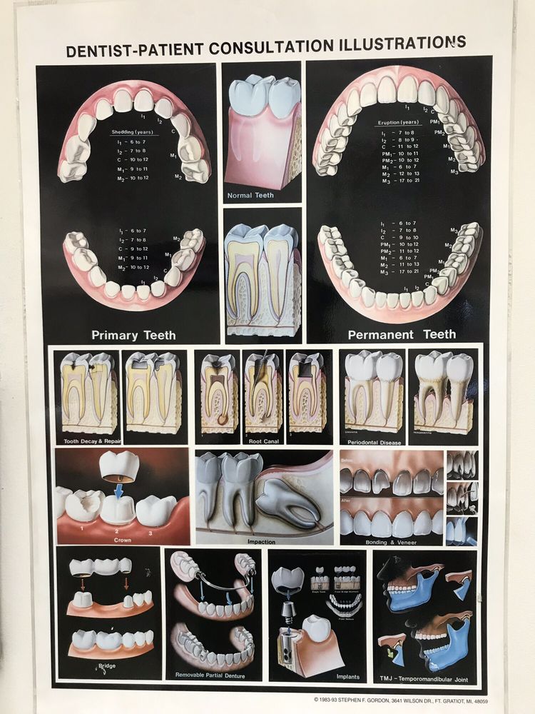 image of business William K Chan D.M.D. Aesthetic & Family Dentistry